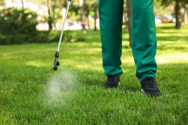 Best Mosquito Control Services  in Thomas, OK