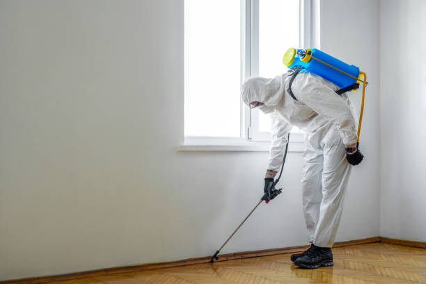 Best Commercial Pest Control Services  in Thomas, OK