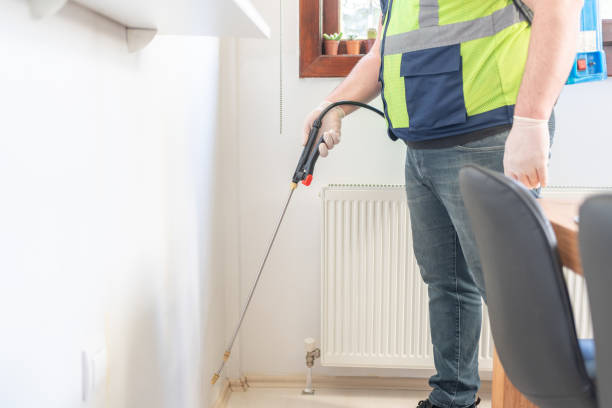 Best Ant Control Services  in Thomas, OK