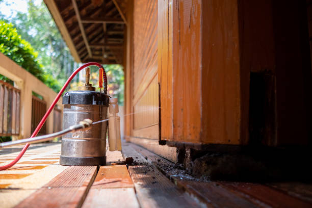 Best Cockroach Control Services  in Thomas, OK