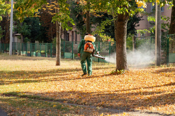 Best Pest Removal Services  in Thomas, OK
