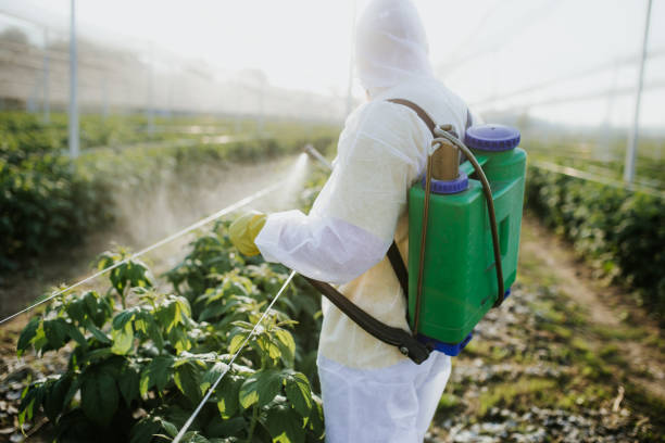 Pest Control for Restaurants in Thomas, OK